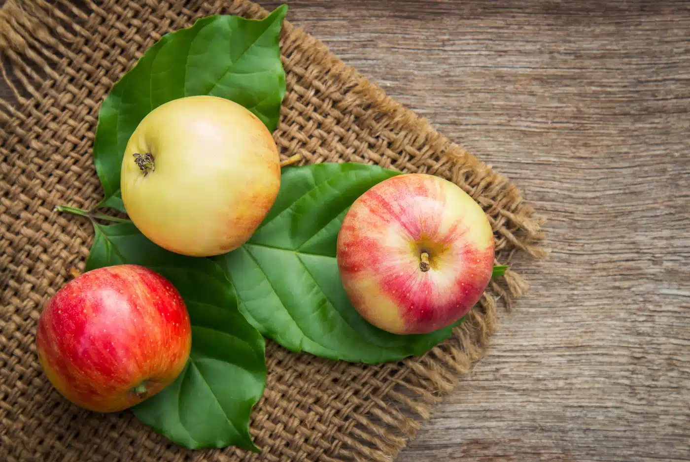 Appel