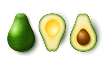 Is avocado gezond?